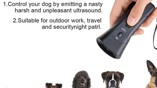 Dog training device with text on application and five dogs of different breeds.