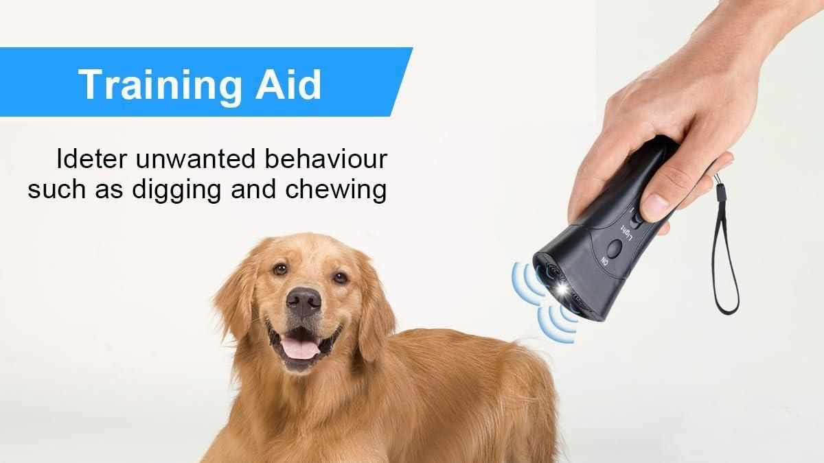 Dog training aid device with a dog and examples of unwanted behavior on a white background